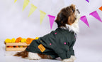 Hunter Green Mirrorwork Dog Kurta