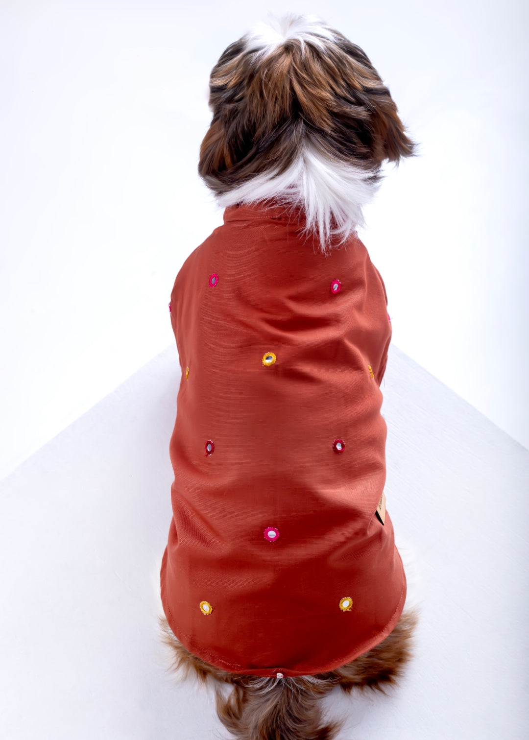 Rust orange Mirrorwork Dog Kurta