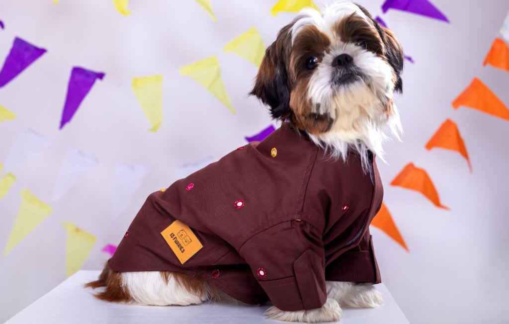 Chocolate brown Mirrorwork Dog Kurta