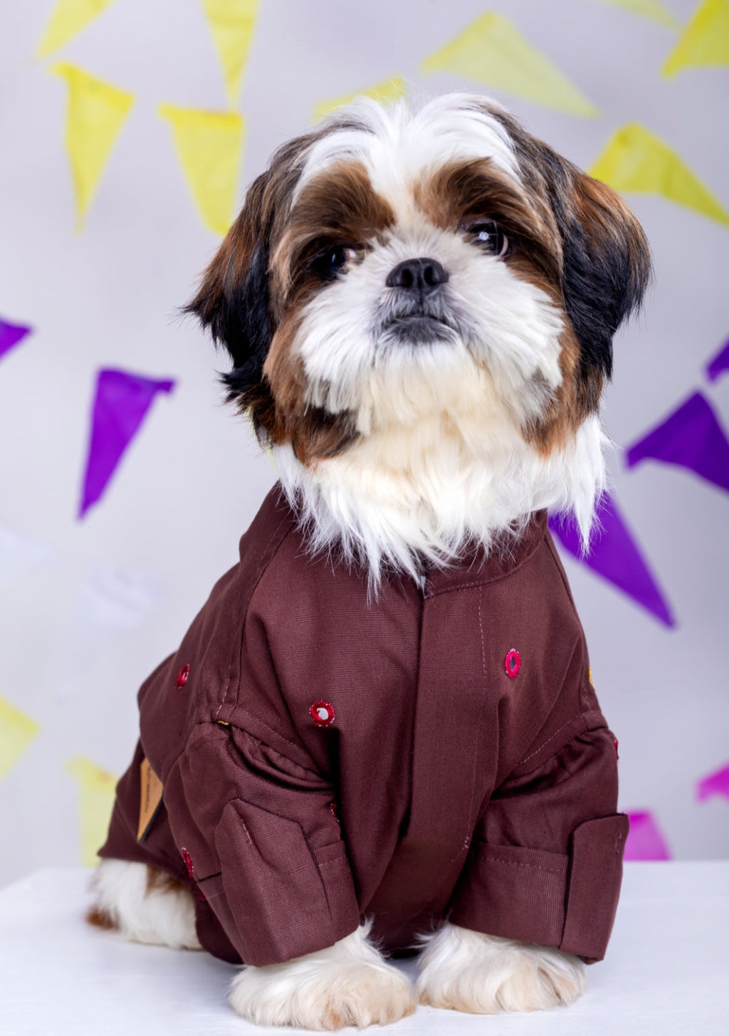 Chocolate brown Mirrorwork Dog Kurta