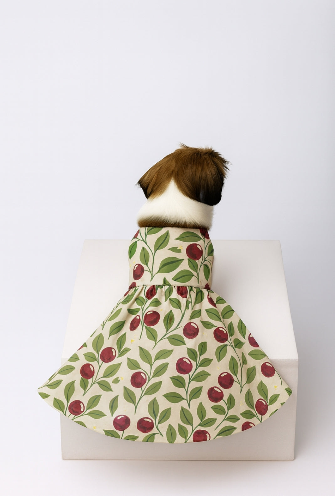 BLUSHING BERRIES  DOG DRESS