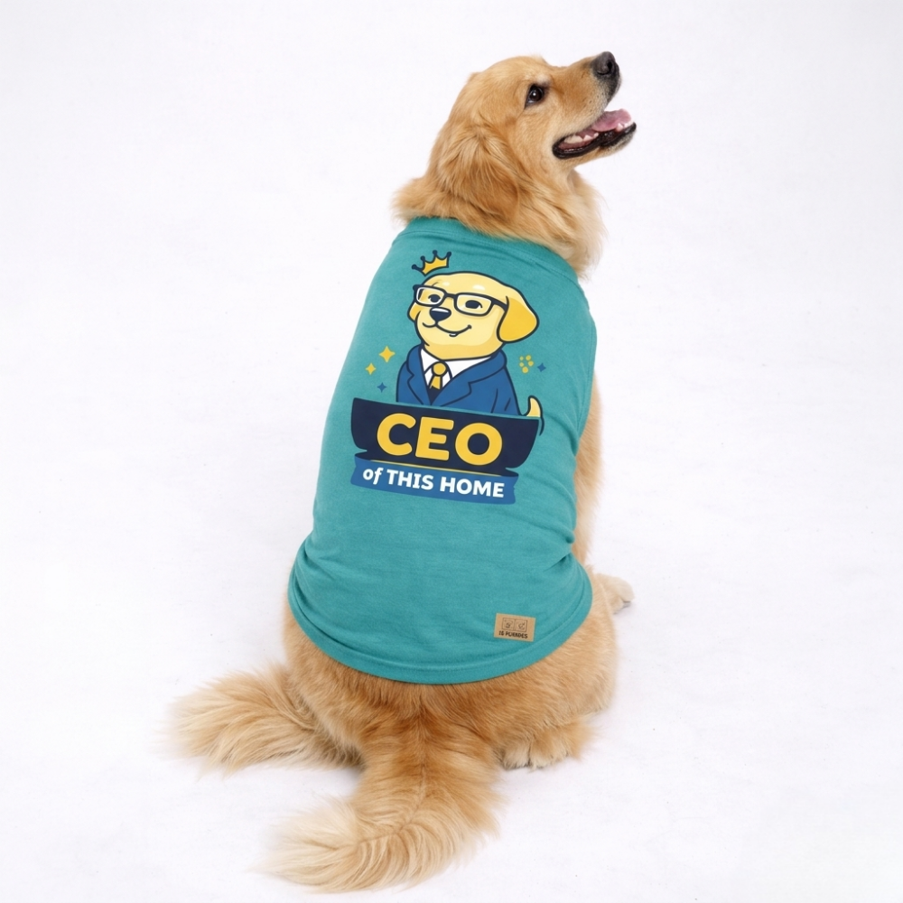 CEO of This Home Tee