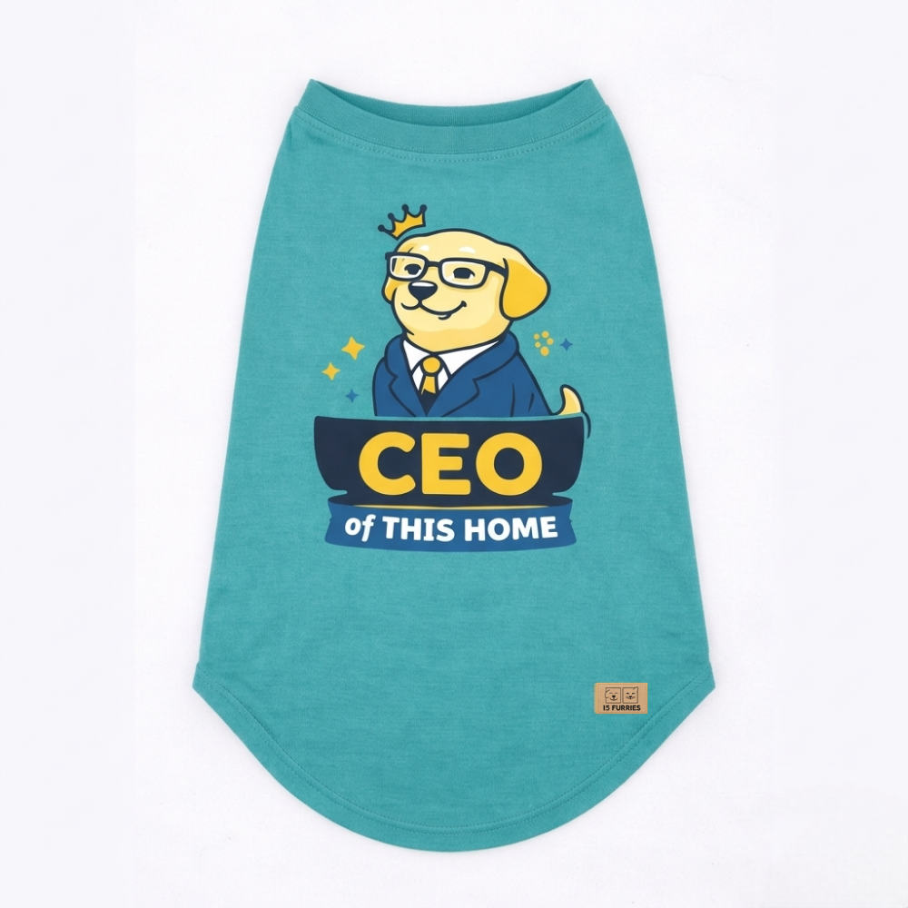 CEO of This Home Tee