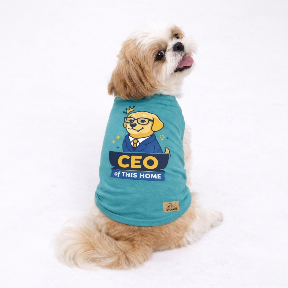 CEO of This Home Tee