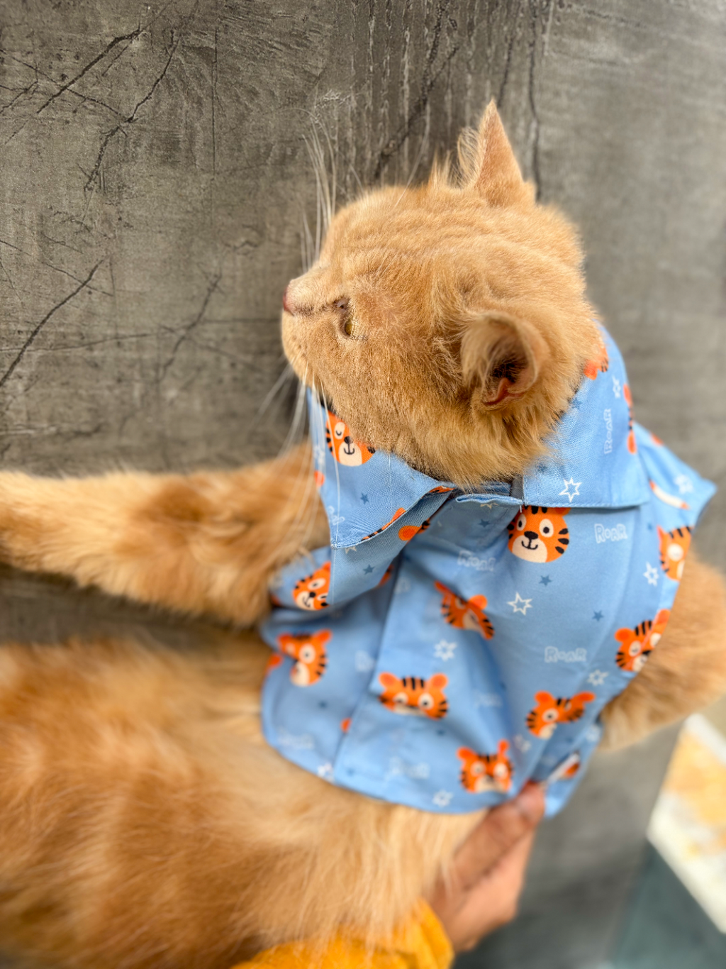 TIGER CAT SHIRT