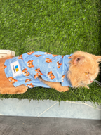 TIGER CAT SHIRT