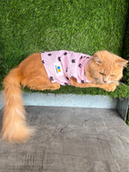 PURFECT PINK CAT SHIRT