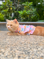 KITTY DREAMS CAT SHIRT