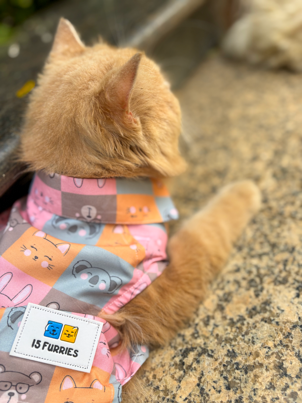 KITTY DREAMS CAT SHIRT