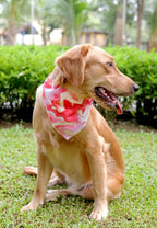 Pink Fluid Art Bandana