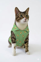 AVOCADO CAT SHIRT