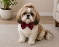 CHERRY RED  Satin Bow for  Dogs and Cats
