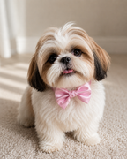 BABY PINK  Satin Bow for  Dogs and Cats