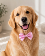 BABY PINK  Satin Bow for  Dogs and Cats