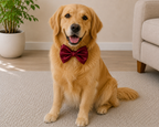 CHERRY RED  Satin Bow for  Dogs and Cats