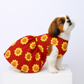 SMILING  SUNFLOWER DOG DRESS